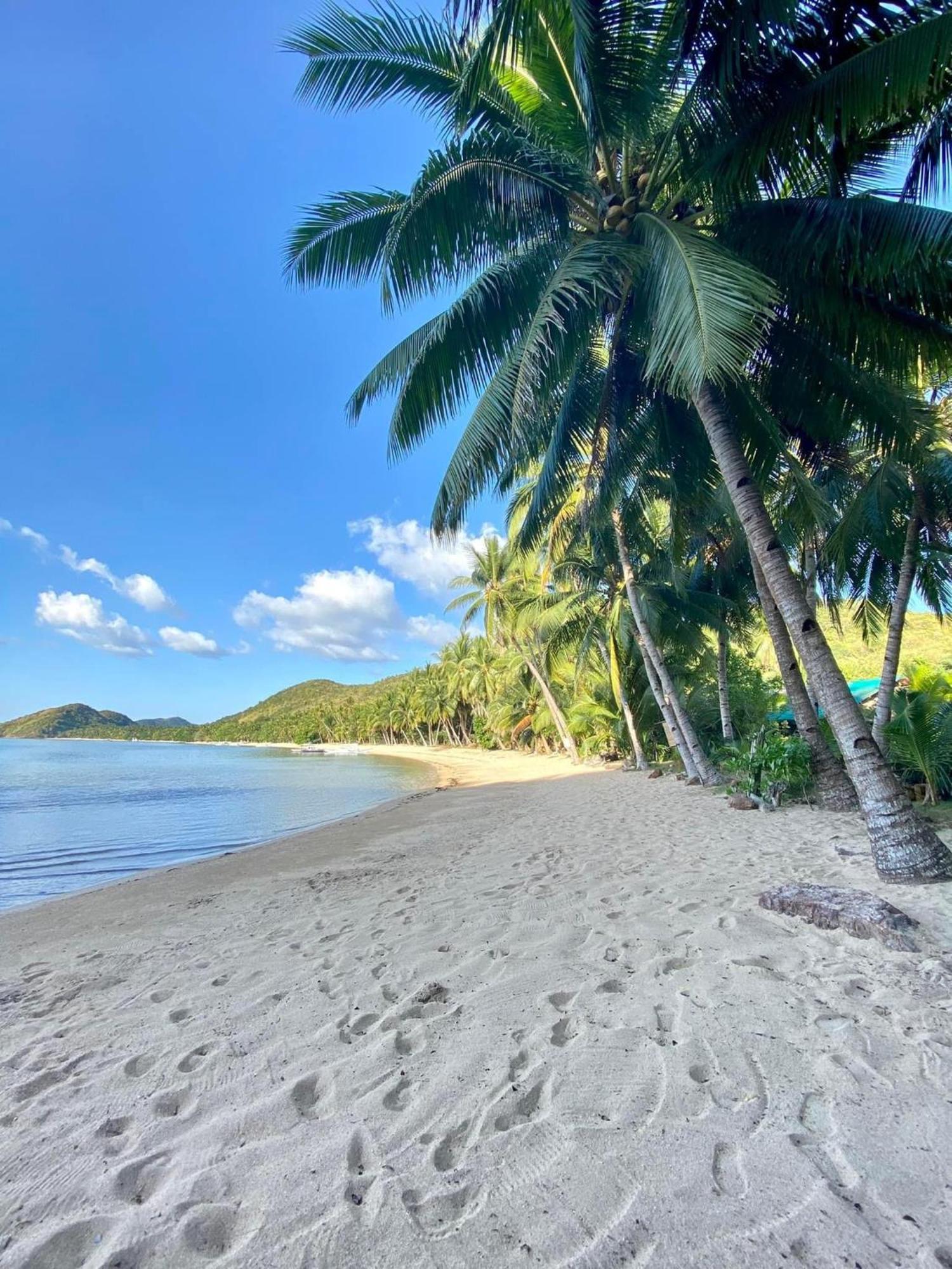 Ocamocam Beach Nature Resort New Busuanga ภายนอก รูปภาพ