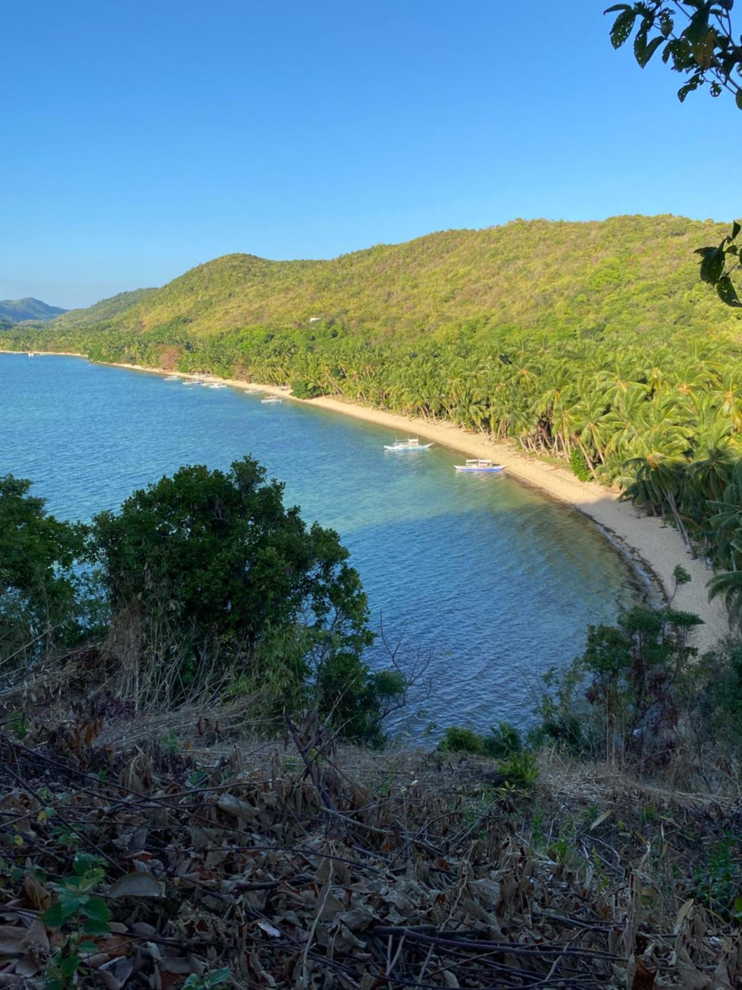 Ocamocam Beach Nature Resort New Busuanga ภายนอก รูปภาพ