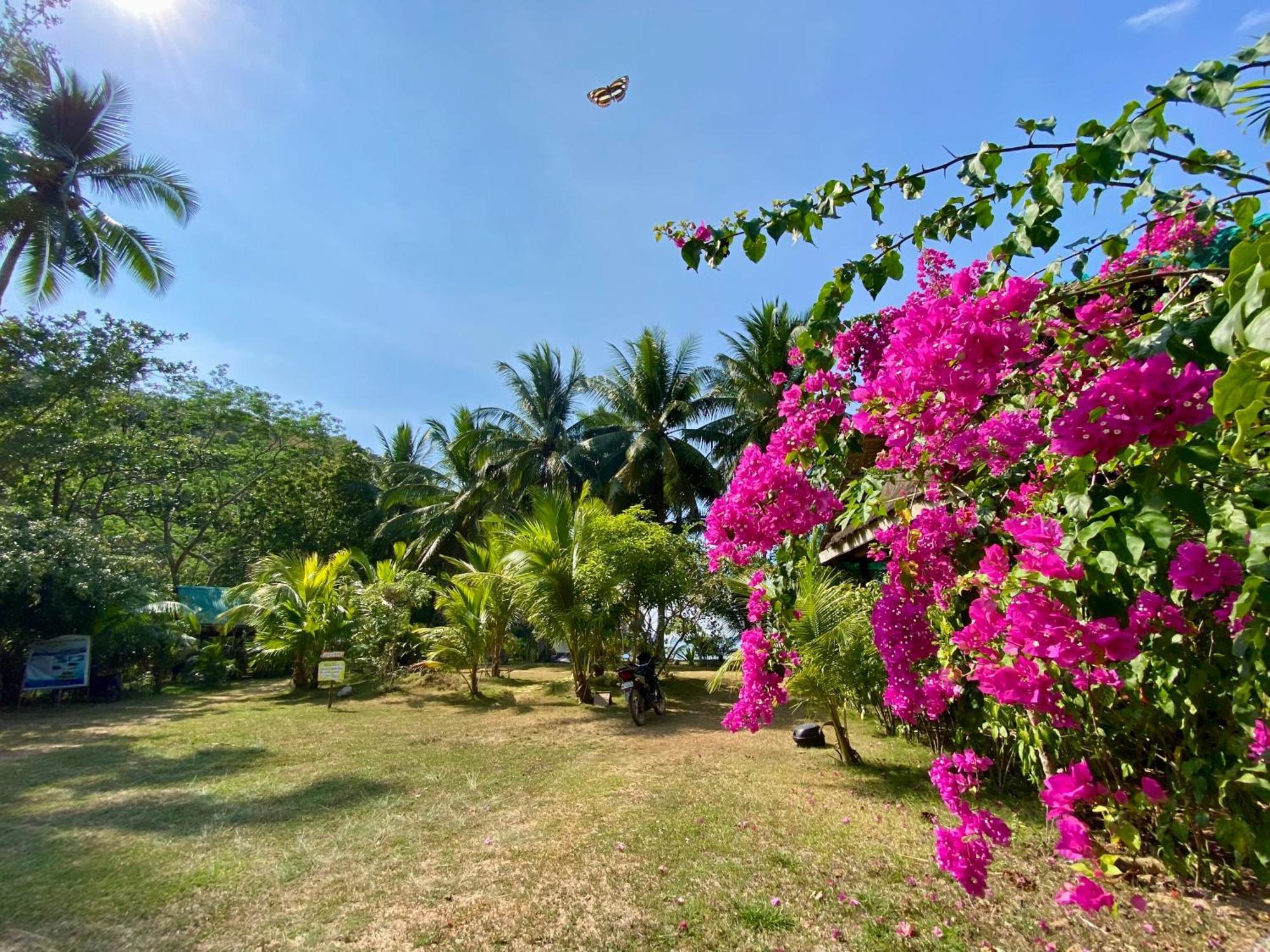 Ocamocam Beach Nature Resort New Busuanga ภายนอก รูปภาพ