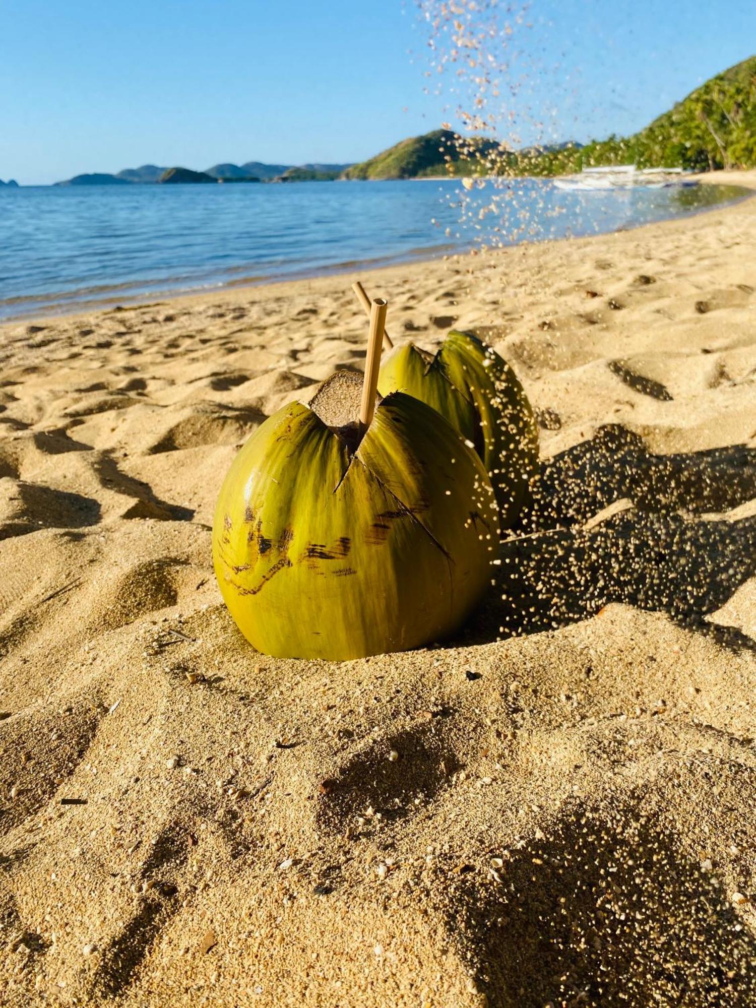 Ocamocam Beach Nature Resort New Busuanga ภายนอก รูปภาพ